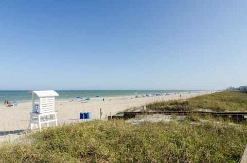 On the beach