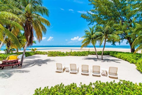 On the beach, sun loungers, beach towels