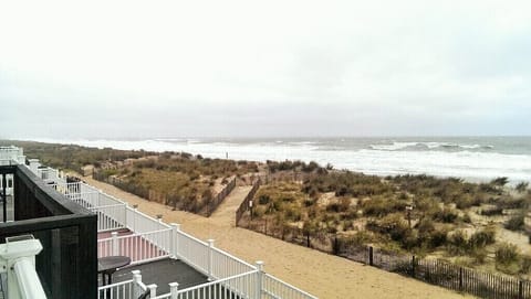 On the beach