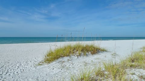 On the beach