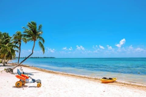 Beach nearby, sun loungers, beach towels