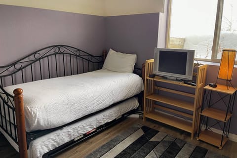 Day bed with a pull out.