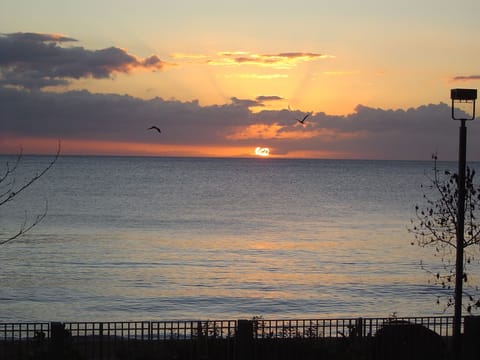 On the beach, sun loungers, beach towels