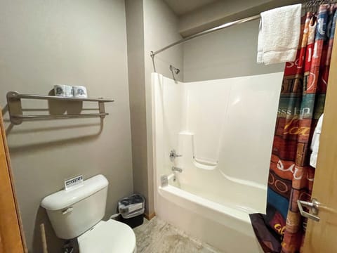 Combined shower/tub, hair dryer, towels, soap