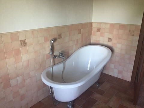 Combined shower/tub, hair dryer, bidet, towels