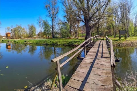 Region [summer] (&gt;5 km)