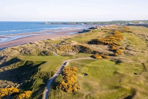 There are lots of local golf courses as well as the better known ones of Carnoustie and St Andrews
