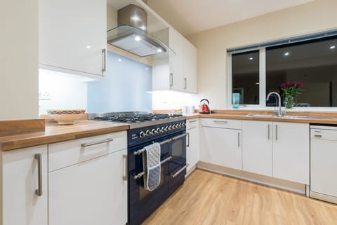 Well-equipped kitchen with range master