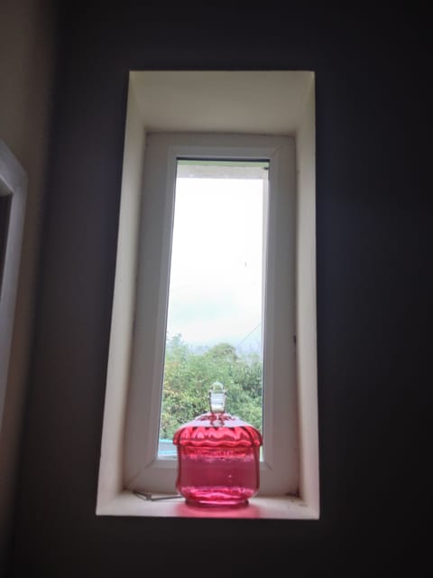 One of 5 west facing feature windows