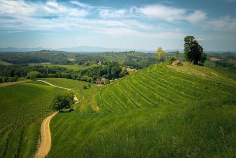 Region [summer] (&gt;5 km)