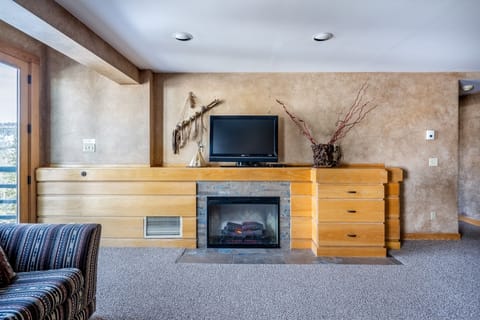 TV, fireplace, DVD player