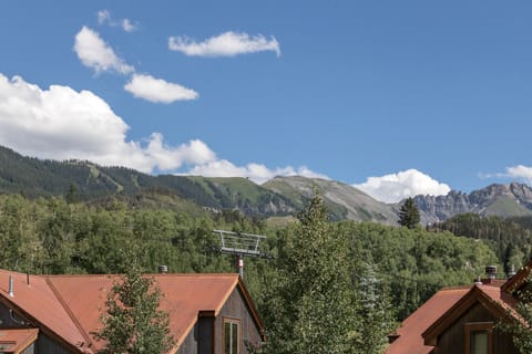 7-Telluride-Terraces-402-View.JPG