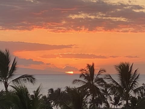 Beach/ocean view