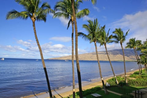 On the beach, sun loungers, beach towels