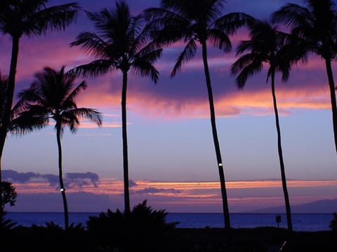 Beach/ocean view