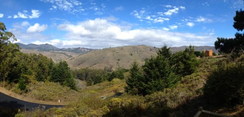View of Mt. Tam and Heather Fields from the Deck.