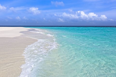 On the beach