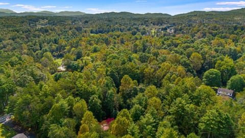 Peaceful Wooded Surroundings