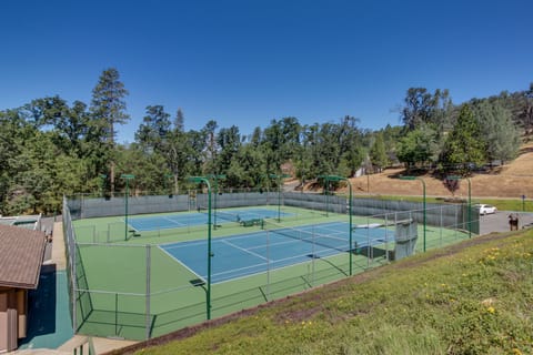 Sport court