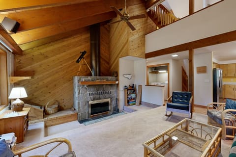 Fireplace, books