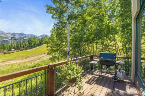 4.01-pine-meadows-138-telluride-deck-view