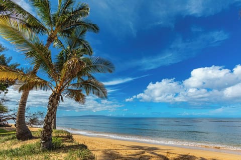 On the beach