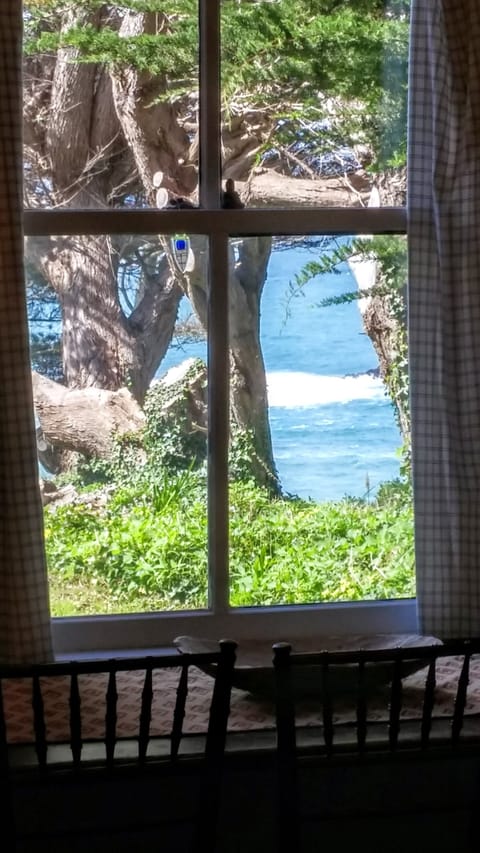 View from Dining Room - View from Dining Room