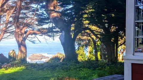 View from front deck