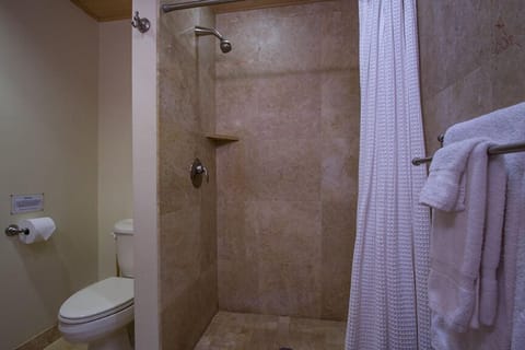 The Master bathroom has a walk in shower.