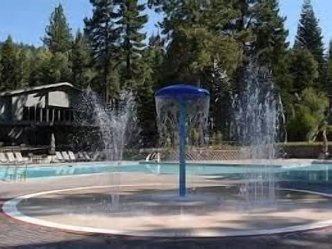 A heated pool, a lap pool