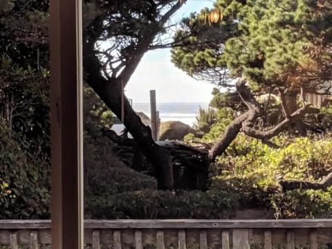 peek of a view from the dining room table