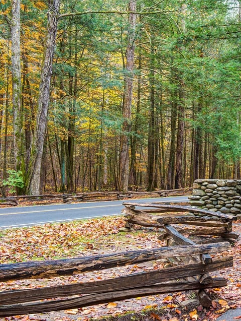 Adventure Awaits in Great Smoky Mountains National Park