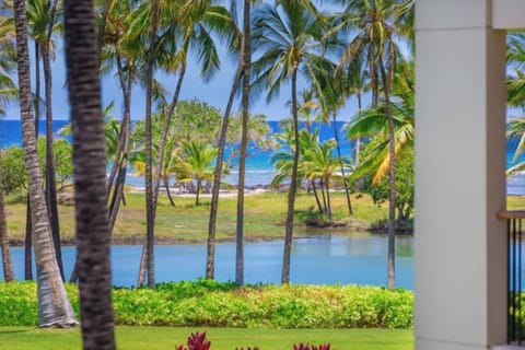 Mauna Lani Terrace Hawaii Vacation Rental