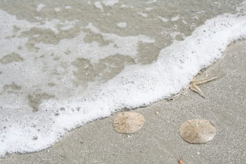 On the beach