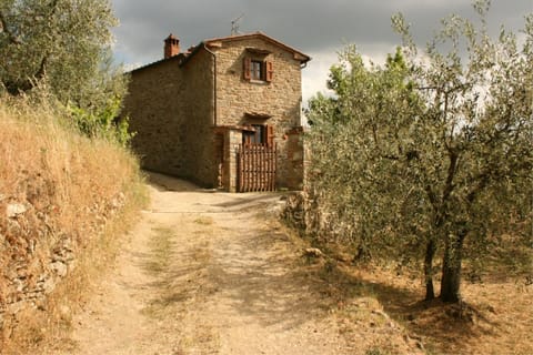 Plant, Sky, Cloud, Ecoregion, Building, Window, Natural Environment, Natural Landscape, Tree, House