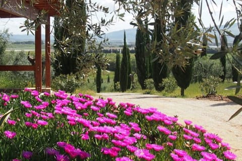 Flower, Plant, Spring, Garden, Magenta, Pink, Botanical Garden, Botany, Tree, Flowering Plant