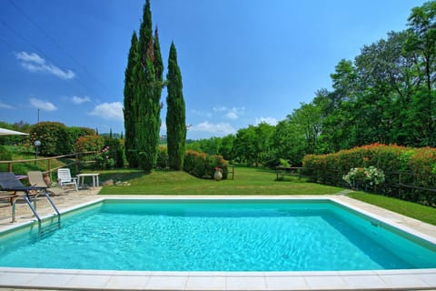 Garden, Outdoor, Pool, Summer