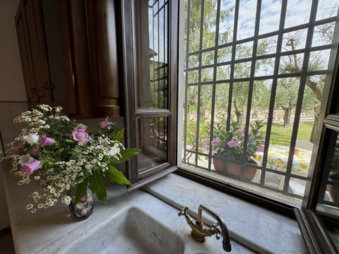 Glass, Flowerpot, Iron, Houseplant, Daylighting, Balcony