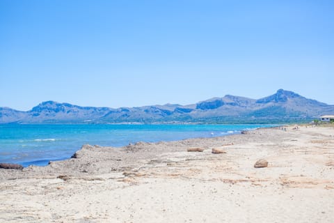 On the beach