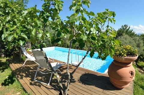 Balcony / Terrace / Patio, Garden, Pool