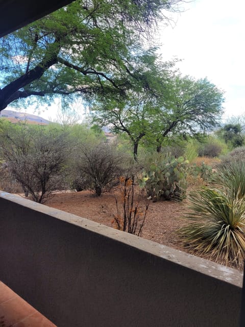 Hacienda in the Desert!  Mountain Views and flair of the Southwest! apartment in Catalina Foothills