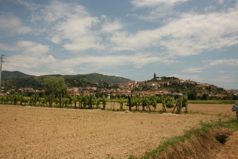 Cloud, Sky, Plant, Mountain, Natural Landscape, Tree, Agriculture, Plain, Landscape, Grassland