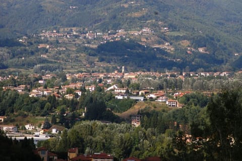 Panoramic view