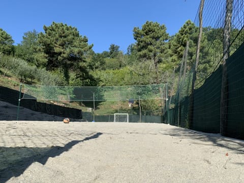 Sport court