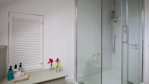 Combined shower/tub, hair dryer, towels