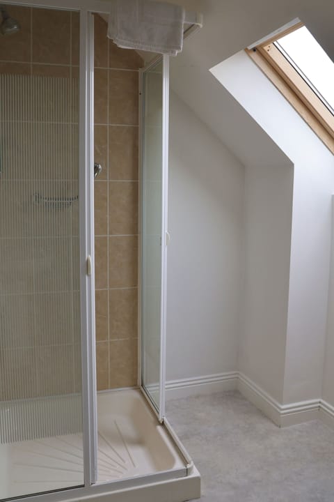 Combined shower/tub