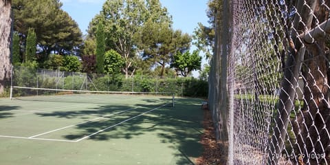 Sport court