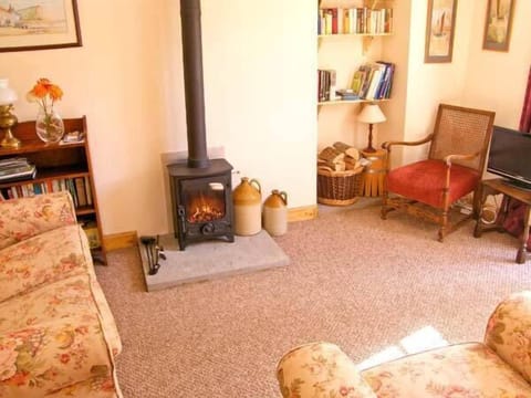 TV, fireplace, books