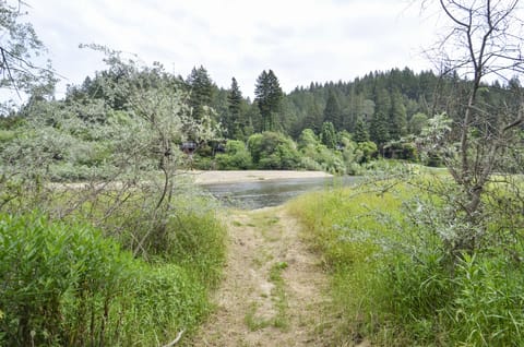 Path to Seasonal River Stairs - Shared by Culture Blend and Contente.