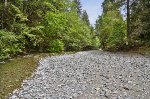 Beautiful year round, East Austin Creek running or dry.